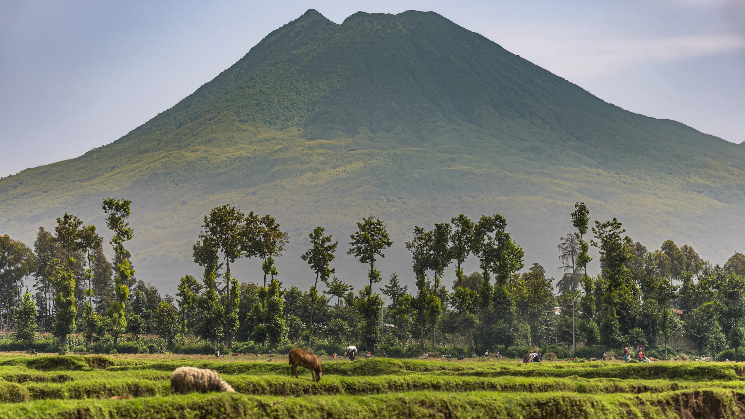 Volcanoes 1 day trip